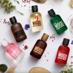 Dsquared2 Original Wood 100ml woda perfumowana flakon