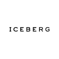 Iceberg